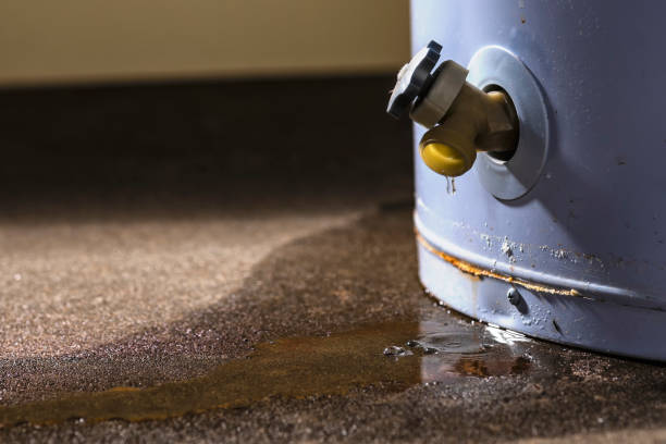 Best 24/7 water damage repair  in Shillington, PA