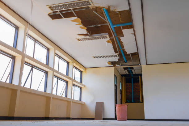 Best Water damage restoration process  in Shillington, PA