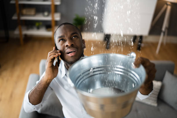 Best Water damage cleanup near me  in Shillington, PA