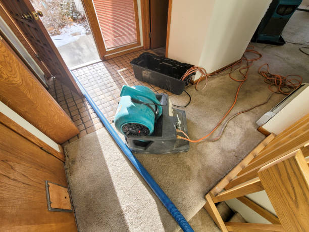 Best Water damage restoration near me  in Shillington, PA