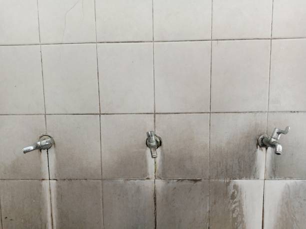Best Water damage cleanup near me  in Shillington, PA