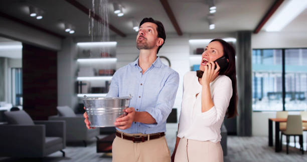 Best Residential water damage restoration  in Shillington, PA