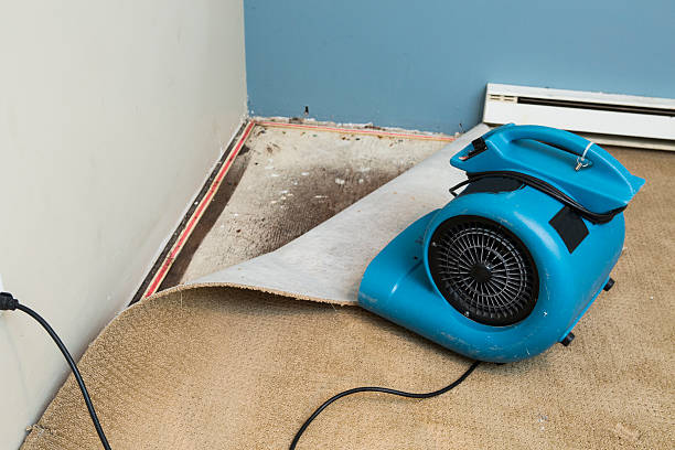 Best Residential water damage restoration  in Shillington, PA